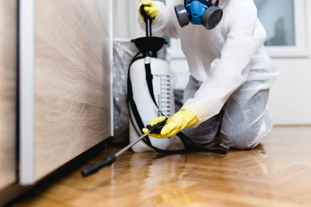 Best Mosquito Control Services  in Newton, IL