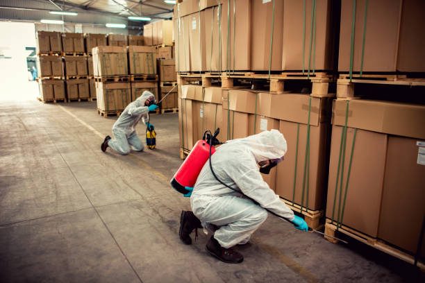 Best Affordable Exterminators  in Newton, IL
