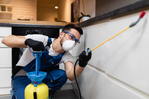Best Pest Inspection Near Me  in Newton, IL