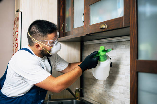Best Bed Bug Extermination  in Newton, IL
