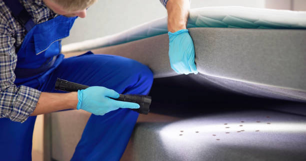 Best Ant Control Services  in Newton, IL