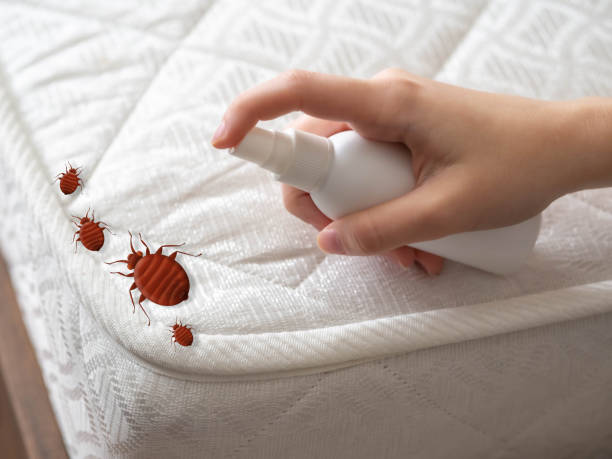 Best Affordable Pest Control Services  in Newton, IL