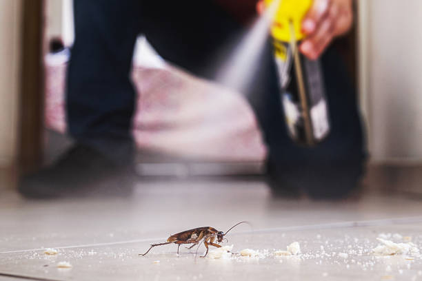 Best Pest Control for Homes  in Newton, IL