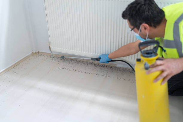 Reliable Newton, IL Pest Control Solutions