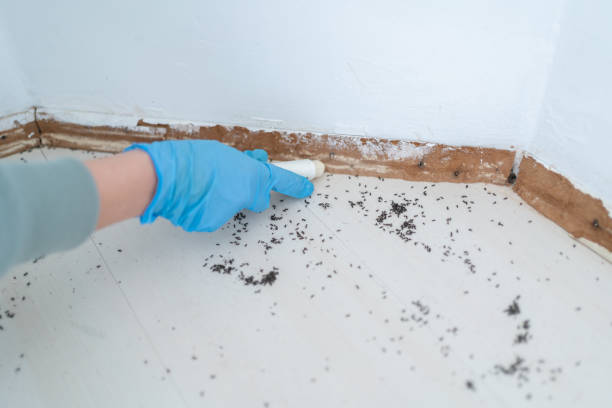 Best Emergency Pest Control  in Newton, IL