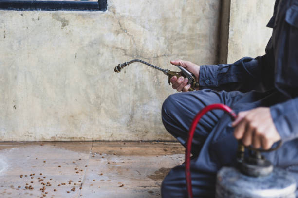 Best Best Pest Control Companies  in Newton, IL